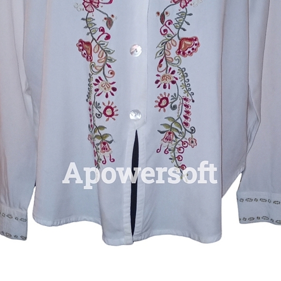 Embroidered Button Front Blouse - Picture 6 of 10